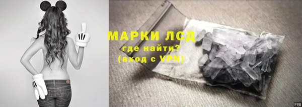 apvp Алзамай